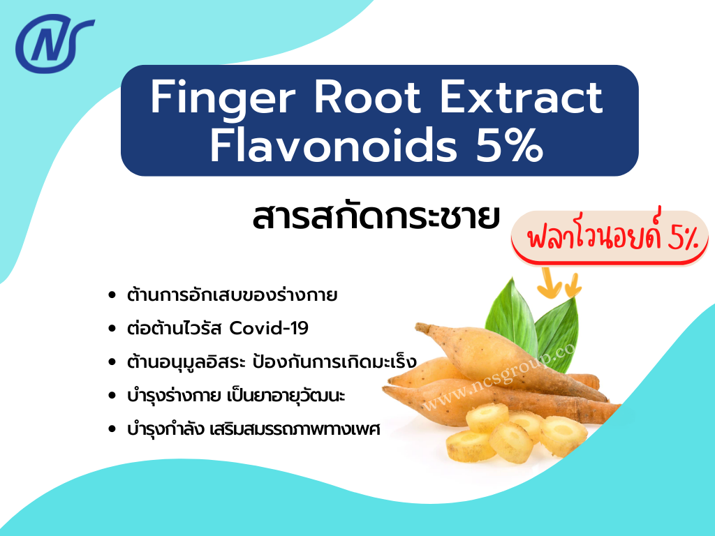 Finger Root Extract Flavonoids 5%